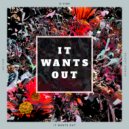 Bonnie Legion & Wav-Dr. & D-Vine - It Wants Out (Original Mix)
