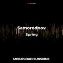 Samorodnov - Spring (Original Mix)