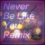 Bass Junkies - Never Be Like You