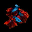 Anthony Poteat - Dance (Blaq Owl Project Remix)