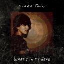 Flaer Smin - A Posteriori. To Be Continued