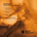 Synthek - Consciousness & Intent (natural/electronic.system remix)