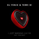 DJ Fenix & Terri B! - I just wanna luv ya (Radio Edit)