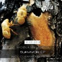 Nicola Magalotti - Survivor (Cleafheart remix)