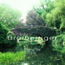 Brothertiger - A House of Many Ghosts (Original Mix)