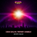 Cena Balak & Ferney Angelo - Never Again (Original Mix)