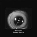 Metapattern - False Fabrication
