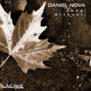 Daniel Nova - Song Without Name