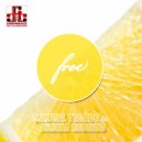 Samuel Tegaro feat. Janina Ribeiro - Free (Tegaro\'s Downgrade Groove)