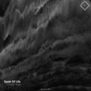 Synth Of Life - Condition (Original Mix)