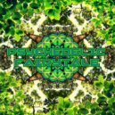 Stereo - Forest Pixie (Original Mix)