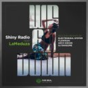 Shiny Radio & LaMeduza - We Go Down (Electrosoul System Remix)