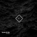 Synth Of Life - Portal (Original Mix)