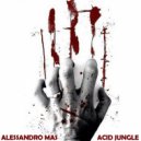 Alessandro Mas - Oriental Acid Express (Original Mix)