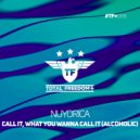 Nuyorica - Call It, What You Wanna Call It (Alcoholic) (Radio Edit)