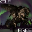 Ole - Raum 2 Sound (Original Mix)