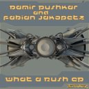 Damir Pushkar, Fabian Jakopetz - Airplane Traffic