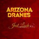 Arizona Dranes & Southern Sanctified Singers - Where He Leads Me I Will Follow