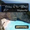 Vinylsurfer - Pirates of the Beat (Dub Mix)
