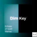 Dim Key - Echoes of Quiet Maniac (Original Mix)