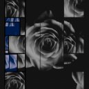 Wise Harmonics - Regrets