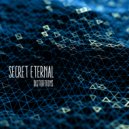Secret Eternal - Spectral Distortions (Original Mix)