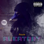 Aleatory - Wishe