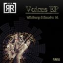 Wildberg & Sandro M. - Voices From Another World