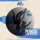 FlexB & Sound Cloup - Perkusi
