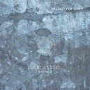 MAVN - Velocity Of Light