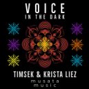 Timsek & Krista Liez - Voice In The Dark (Original mix)