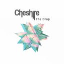 Cheshire - Funky Camel (Original Mix)