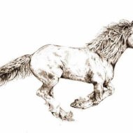 Johan Horses - Galop