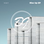 V.O.Y - The Good Vibe