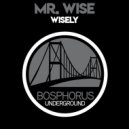 Mr. Wise - Ermac