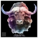Marco Bedini - Black knight (Original Mix)