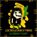 Dj Energy Flight - Live @ Ёжик В Тумане (02.11.2019)
