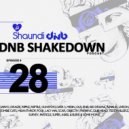 Shaundi DNB Frequencies - DNB SHAKEDOWN 28