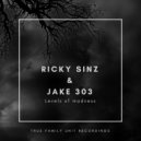 Ricky Sinz & Jake 303 - Levels of madness (Original Mix)