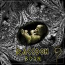 Raccoon - Distortion Of Forest Space