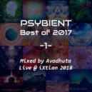 Avadhuta - Psybient: Best of 2017, Vol.1 (Live @ iXtlan 2018) ()