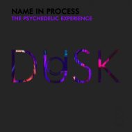 Name In Process - The Psychedelic Experience