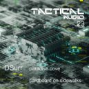 DSurr - cardboard on sidewalks