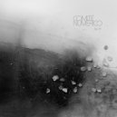 Comité Numerico - Oro o VIda