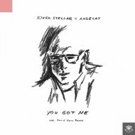 Bjørk Stellar  - You Got Me