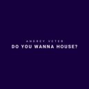 Andrey Veter - Do You Wanna House (Original mix)