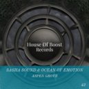 Sasha Sund & Ocean of Emotion - Aspen Grove