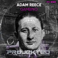 Adam Reece - Gambino