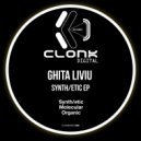 Ghita Liviu - Synth/etic (Original mix)