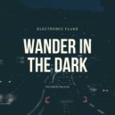 Electronic Fluke - Wander in the dark